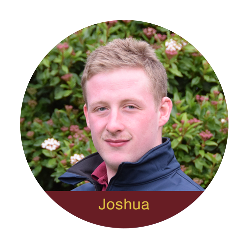 Joshua